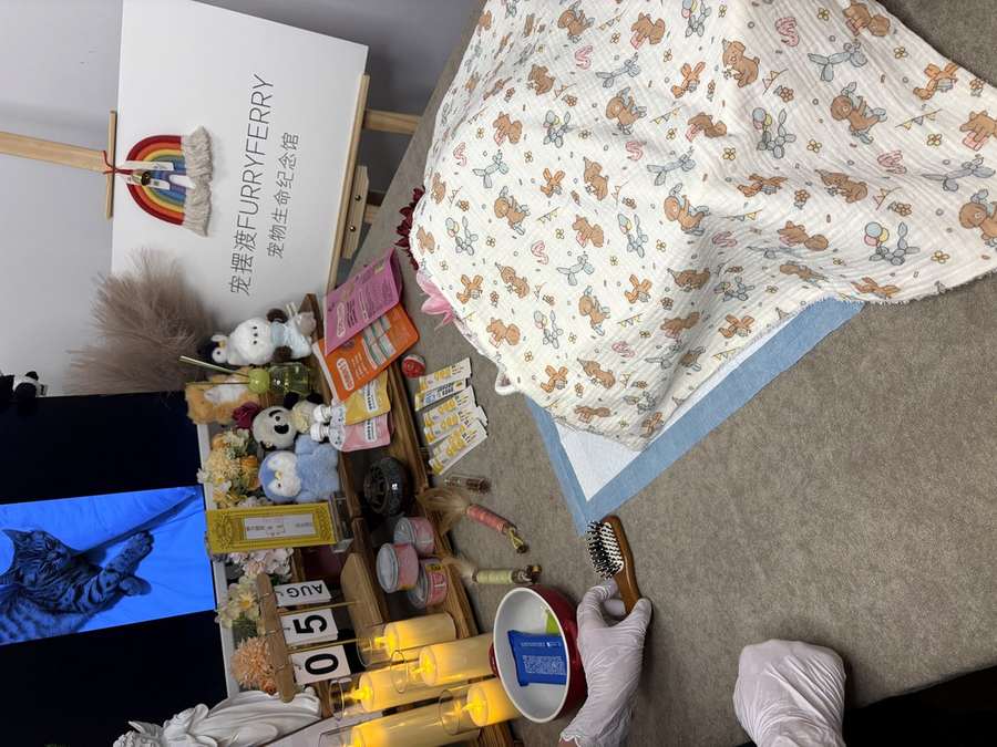潍坊宠物单独火化